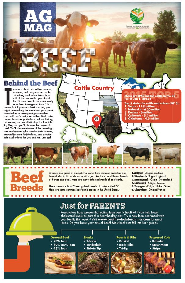 Beef Ag Mag