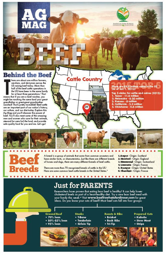 Beef Ag Mag