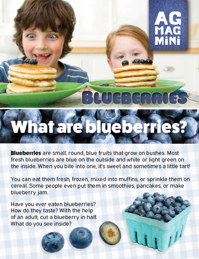 Blueberries Ag Mag Mini