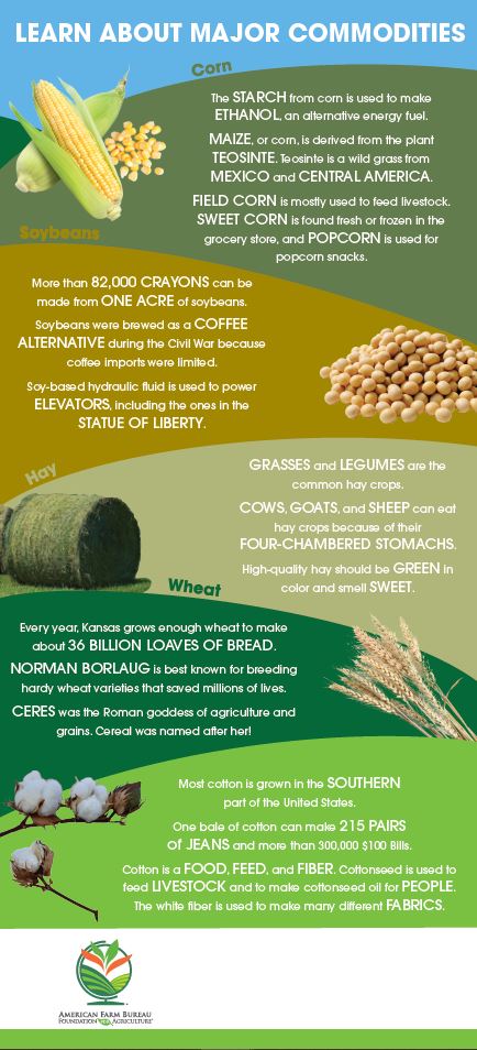 Learn About Major Commodities Barn Banner