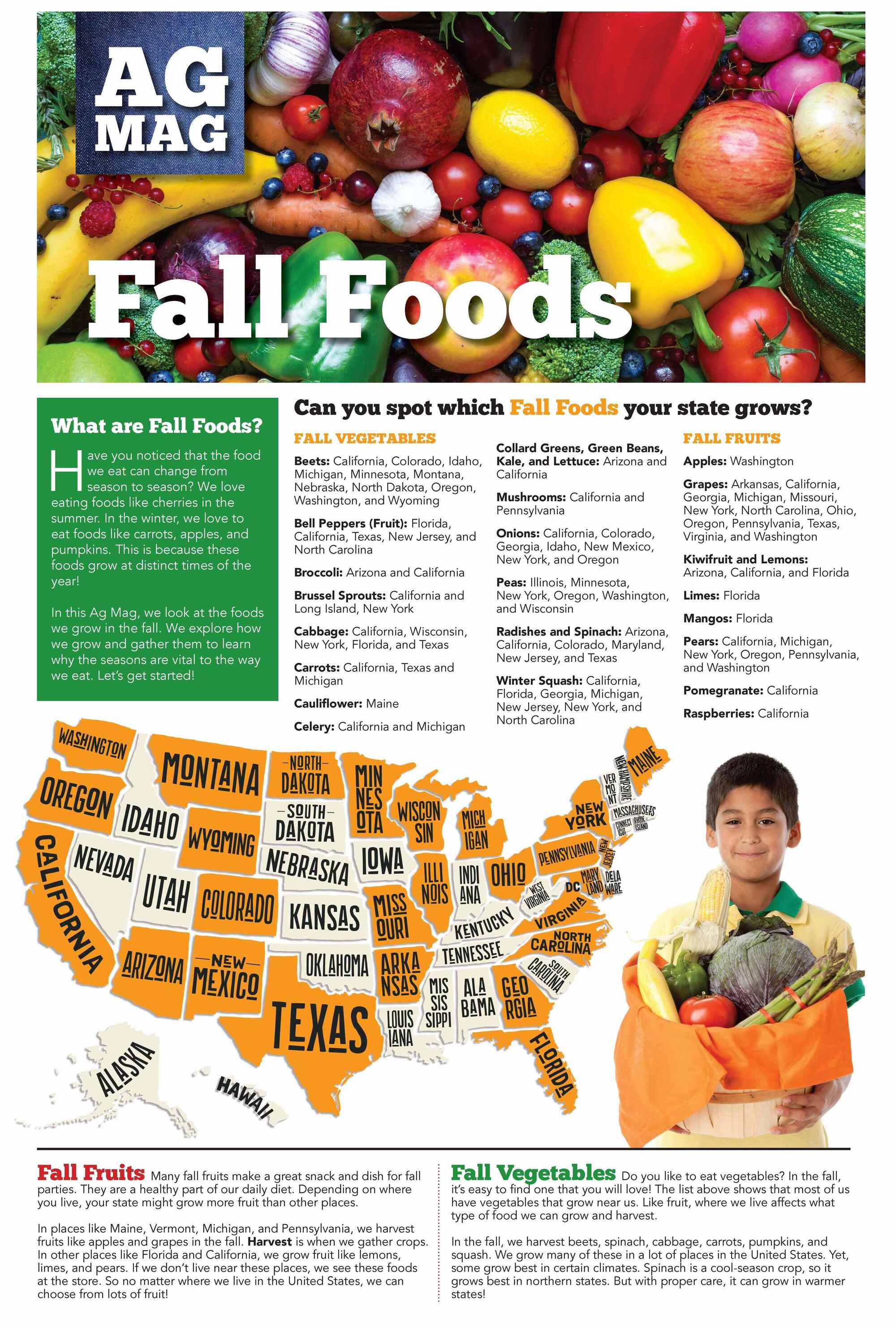 Foods That Start With Ag Fall Foods Ag Mag – American Farm Bureau Foundation for Agriculture Store