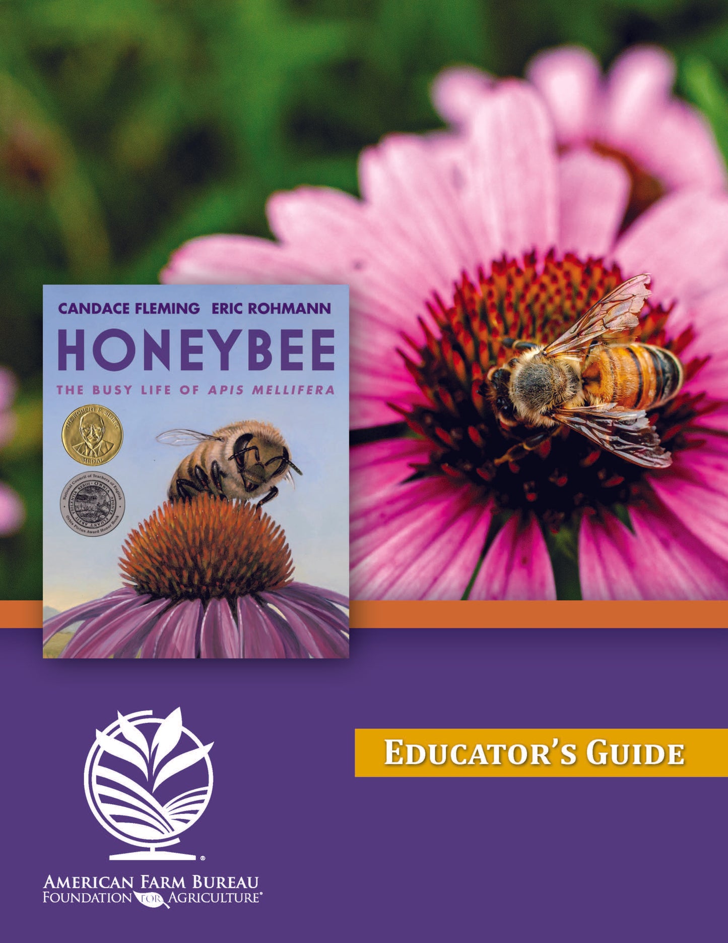 Honeybee Educator's Guide