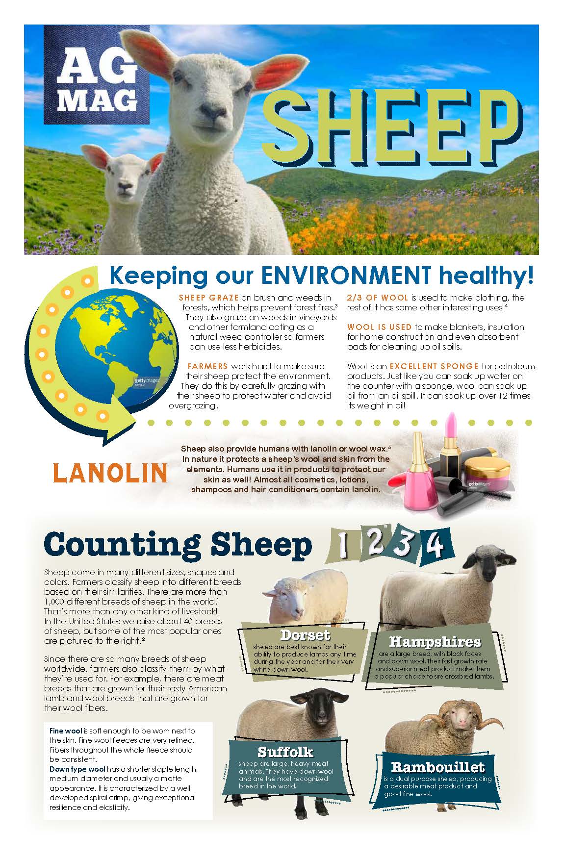 Sheep Ag Mag