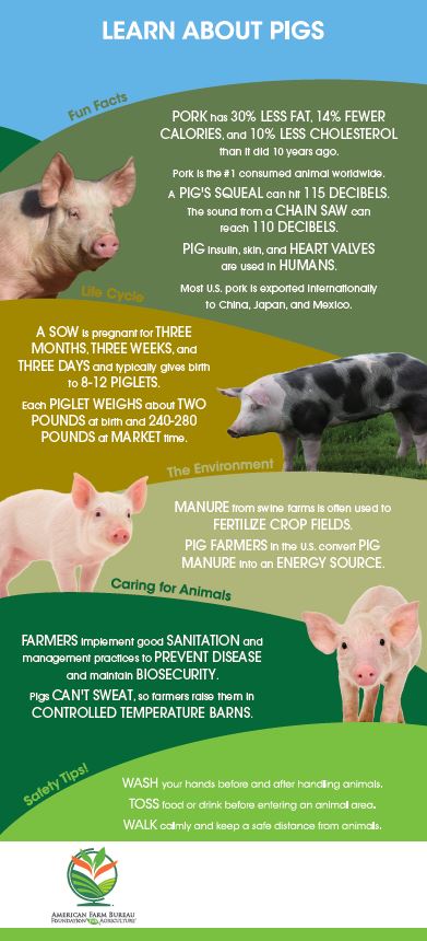 Learn About Pigs Barn Banner
