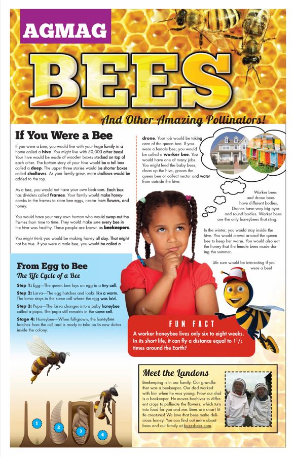 Bee Ag Mag