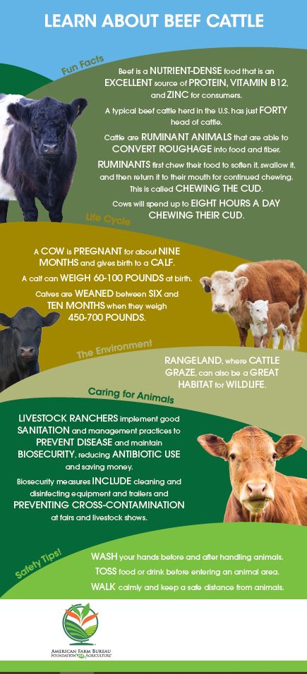 Learn About Beef Barn Banner