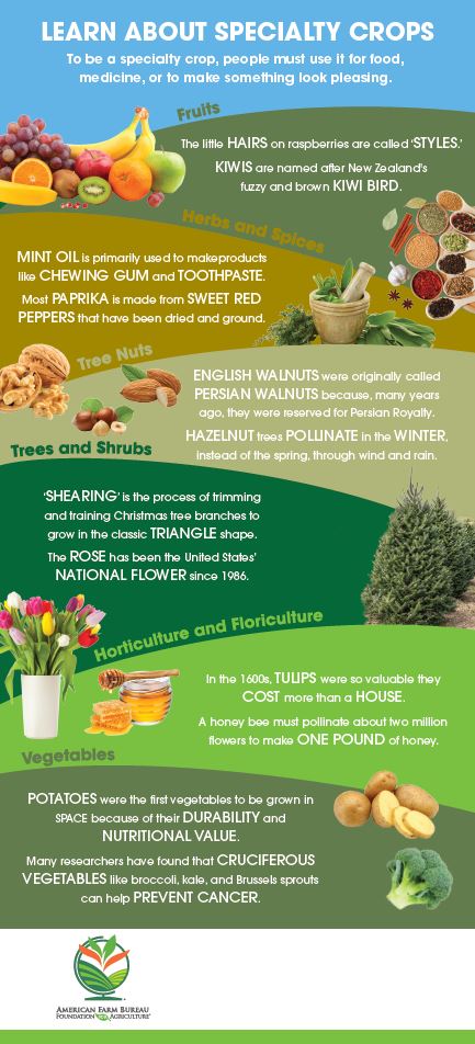 Learn About Specialty Crops Barn Banner