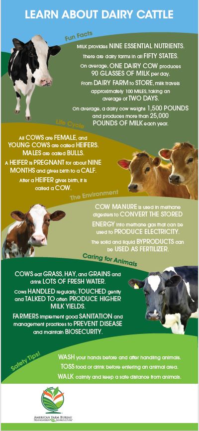 Learn About Dairy Barn Banner
