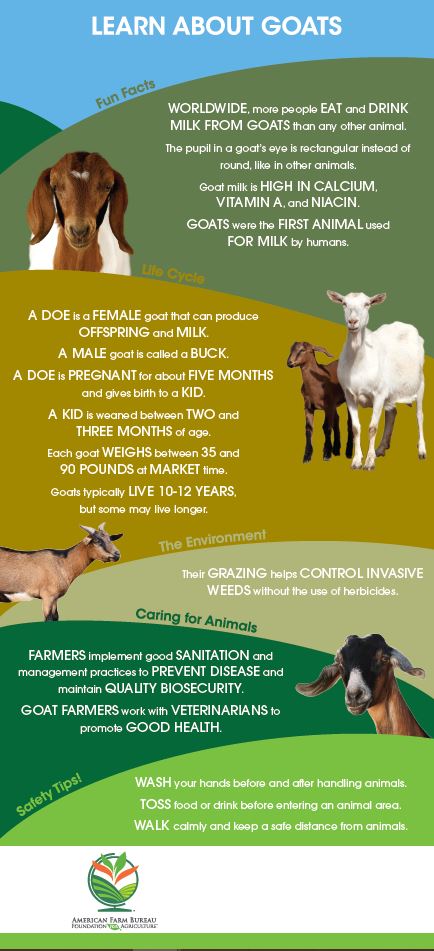 Learn About Goats Barn Banner