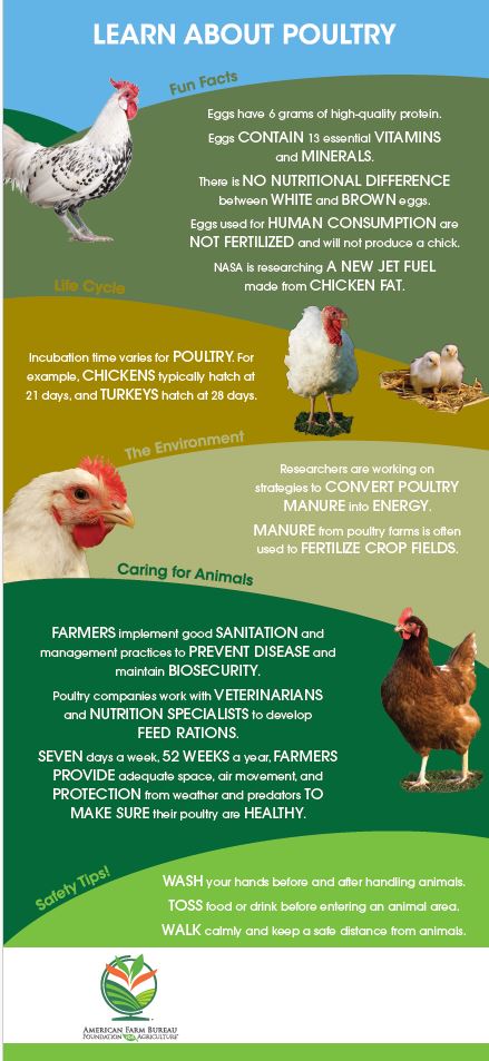 Learn About Poultry Barn Banner