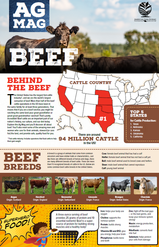 2025 Beef Ag Mag