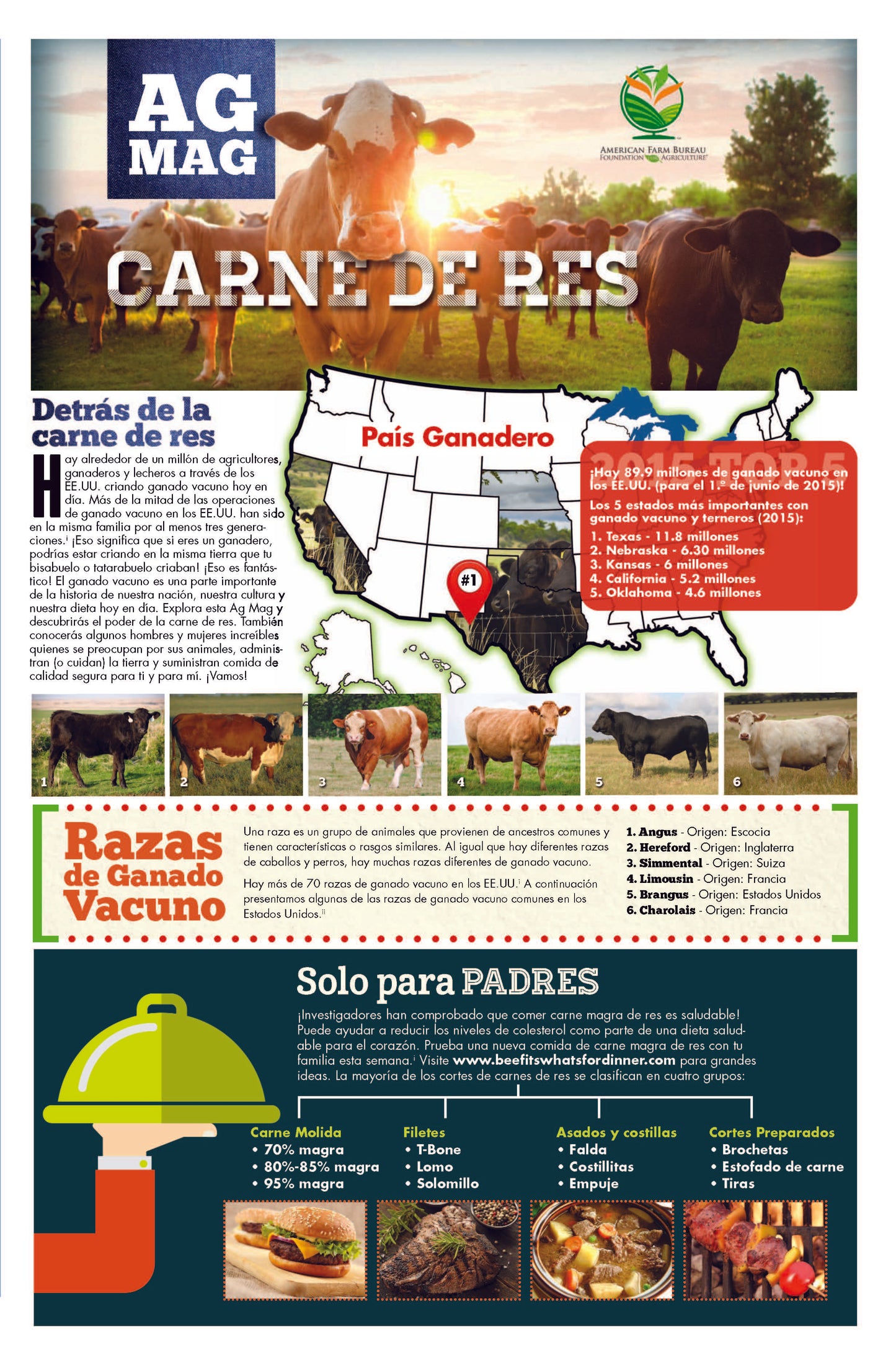 Beef Ag Mag (Spanish)