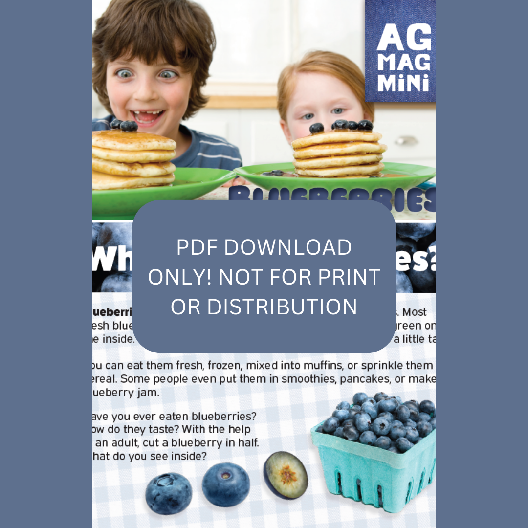 Blueberries Ag Mag Mini (PDF DOWNLOAD ONLY)