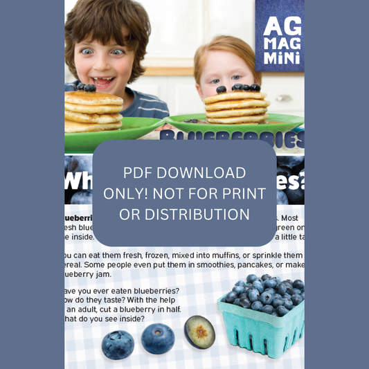 Blueberries Ag Mag Mini (PDF DOWNLOAD ONLY)