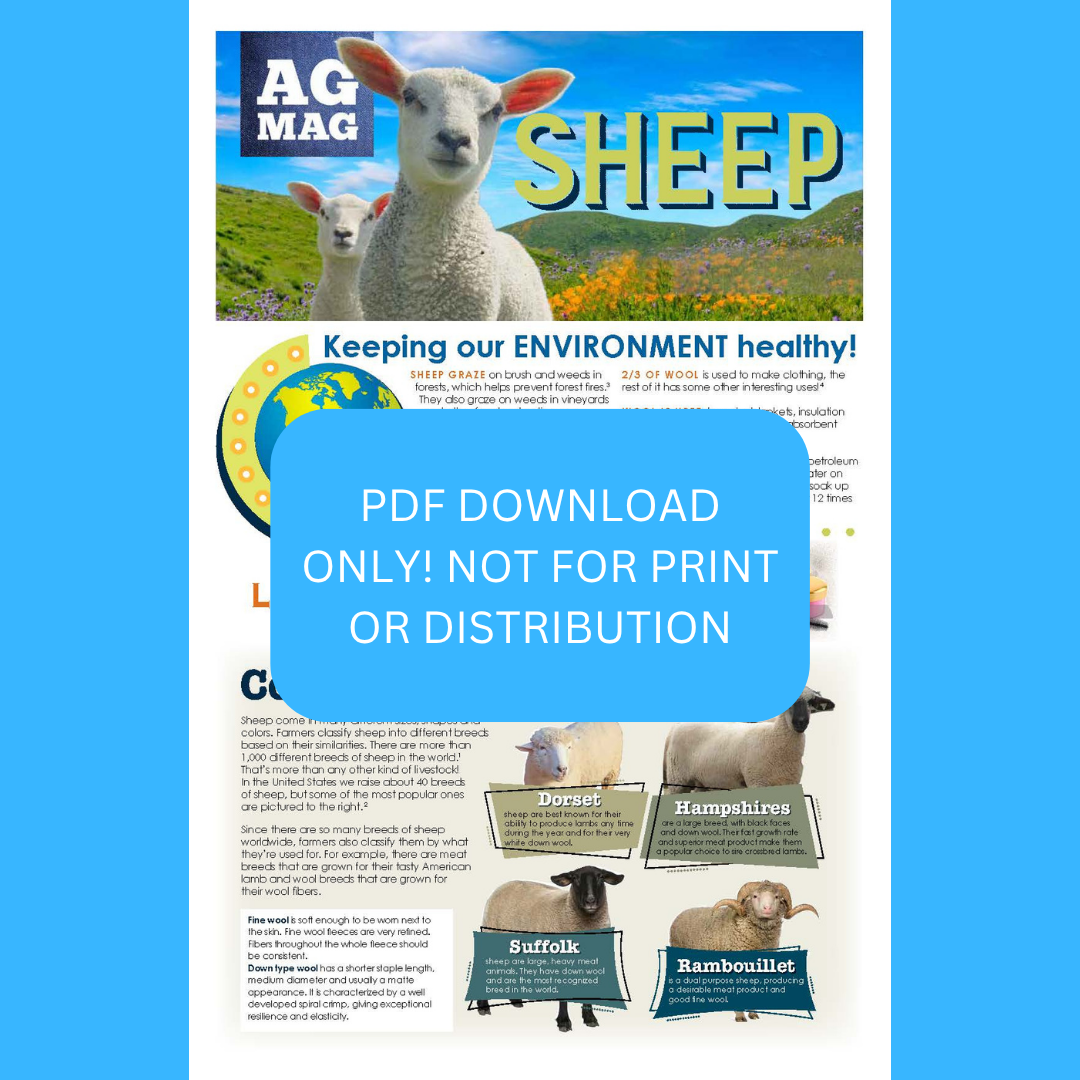 Sheep Ag Mag (PDF DOWNLOAD ONLY)