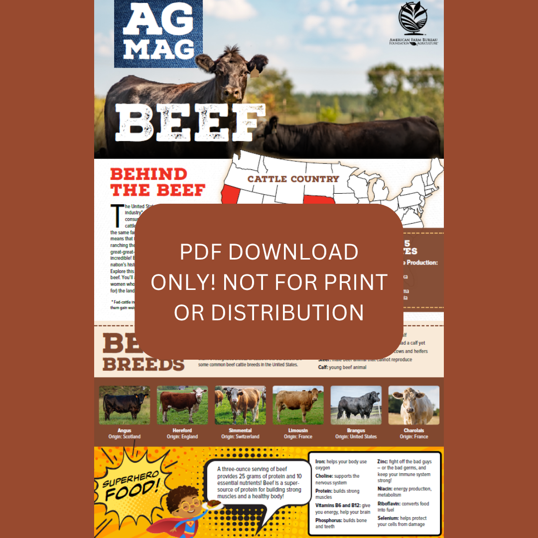 Beef Ag Mag (PDF DOWNLOAD ONLY)